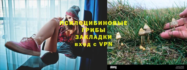 стафф Горняк