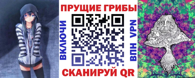 Псилоцибиновые грибы Cubensis  Новоржев 